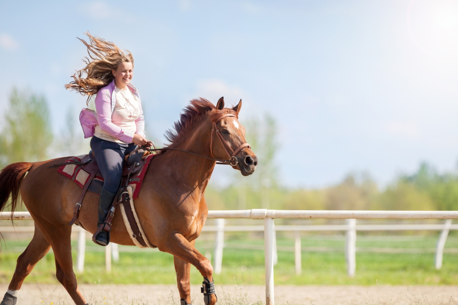 Woman riding horse (photo)